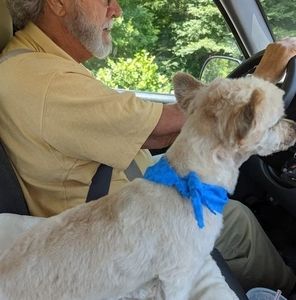 Meet your Posher, Jan